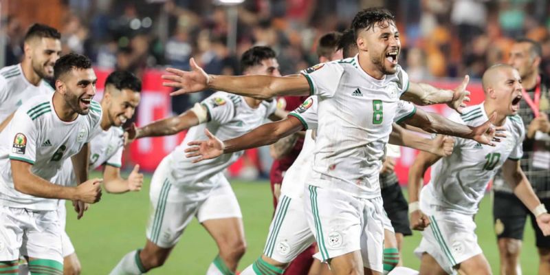 Gợi ý kèo cược phù hợp khi theo dõi đội tuyển Algeria