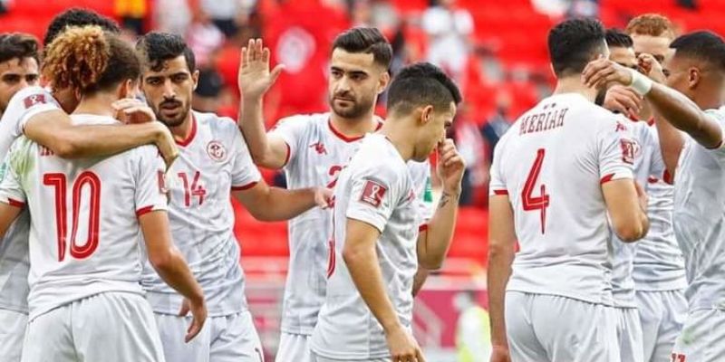 Gợi ý kèo cược phù hợp khi theo dõi đội tuyển Tunisia
