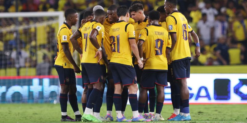 Vượt qua vòng loại với phong độ ổn định, ấn tượng