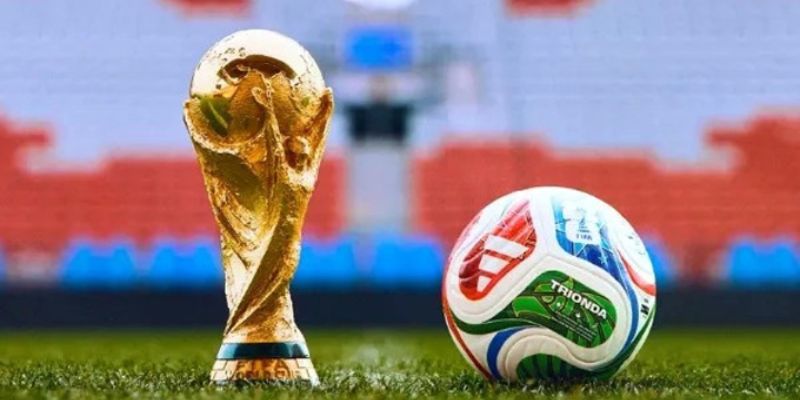 Nhận định bảng F WC 2026: Cục diện, lịch thi đấu và cơ hội đi tiếp